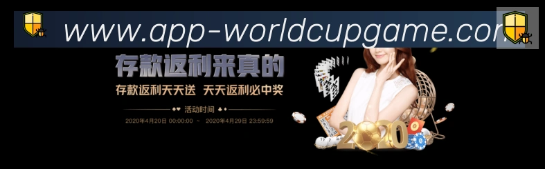 奖项证书